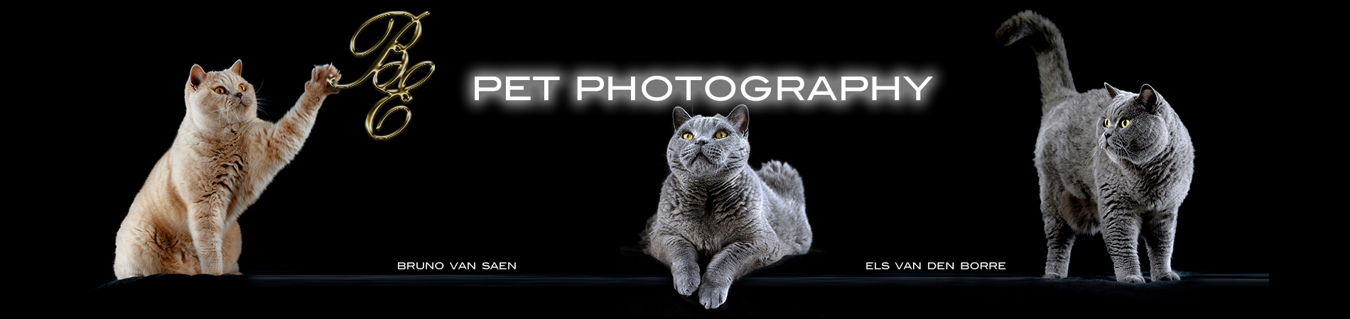 B&E petsphotography