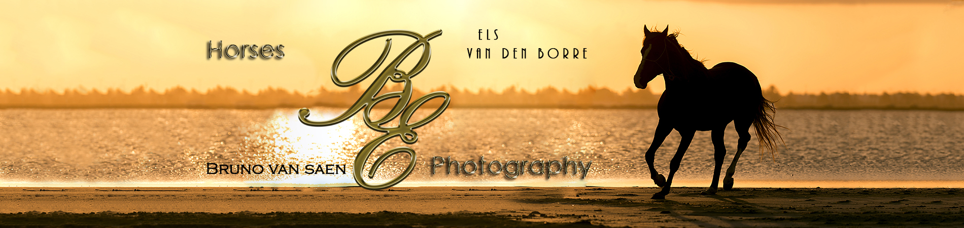 B&E horsephotography